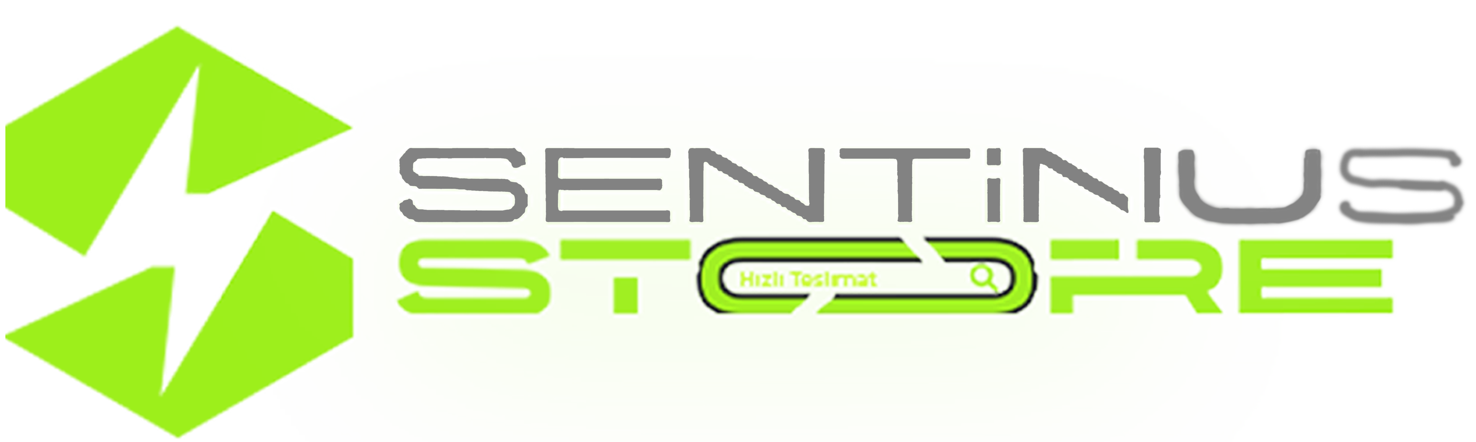 SentinuStore DosyaPaylaşım